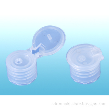 Plastic Caps Injection Molding Made by SDR